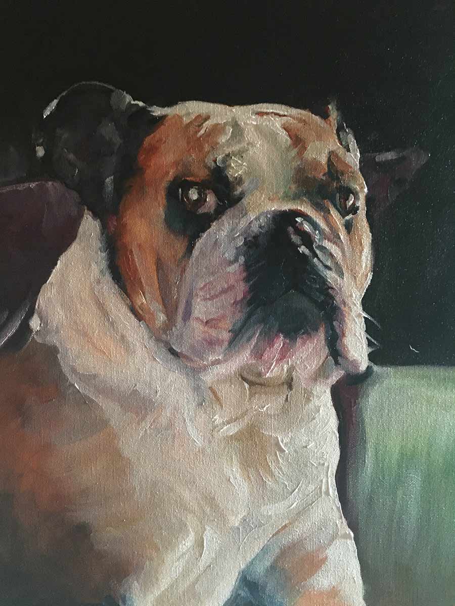 Pet portrait of Walter the bulldog