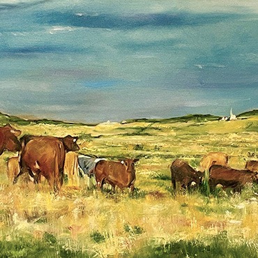 Salthouse Cattle