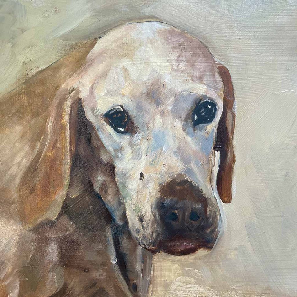 Portrait of Bones the dog