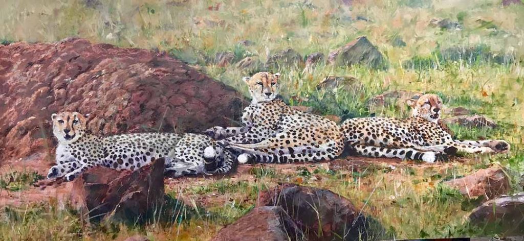 Watercolour of watchful leopards lying down