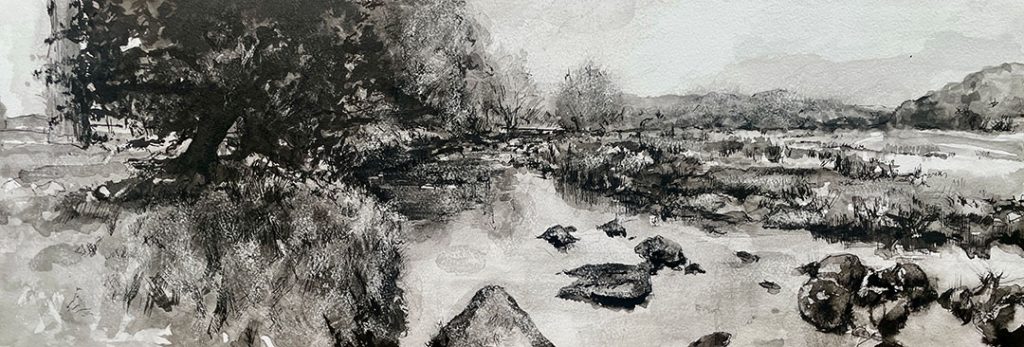 Pen and ink drawing on the West Dart below Prince's Hall.
