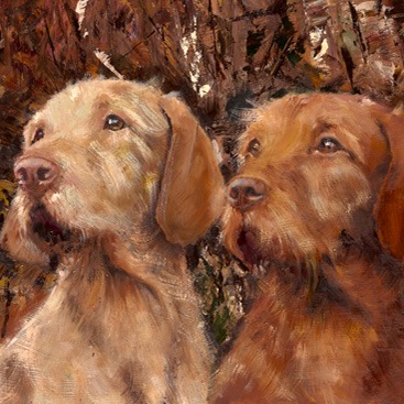 Culdrein Vizlas
